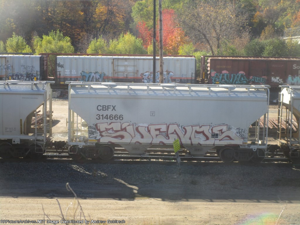 CBFX 314666